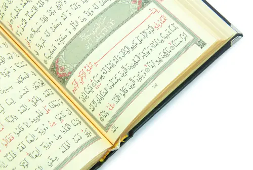 Yaldızlı Kaplama Gold Renk Kuran-ı Kerim (Hafız Boy) - 4